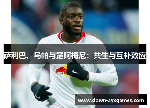萨利巴、乌帕与楚阿梅尼:共生与互补效应 萨利巴、乌帕与楚阿梅尼:共生与互补效应