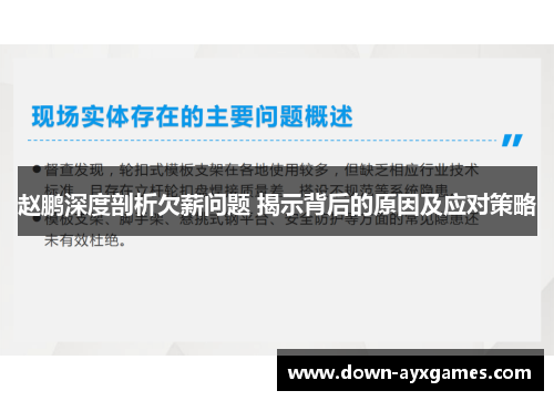 赵鹏深度剖析欠薪问题 揭示背后的原因及应对策略 赵鹏深度剖析欠薪问题 揭示背后的原因及应对策略