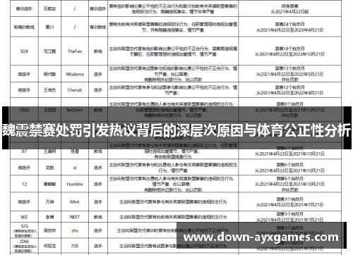 魏震禁赛处罚引发热议背后的深层次原因与体育公正性分析