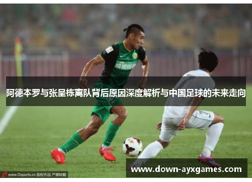 阿德本罗与张呈栋离队背后原因深度解析与中国足球的未来走向